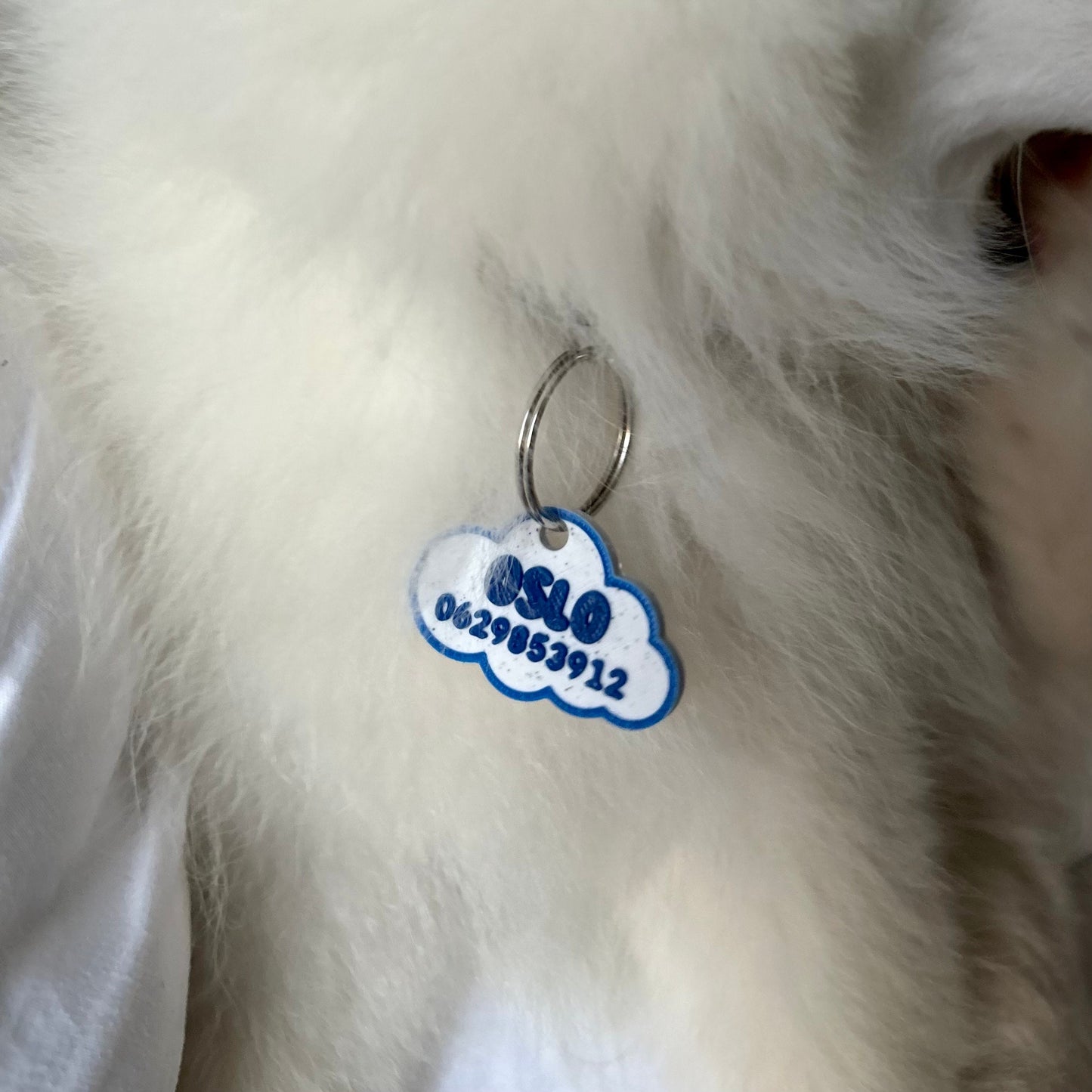 Médaille chien sans bruit nuage confortable pour chien, animaux, ou chats à personnaliser prénom  médaille d'identité avec choix de couleurs