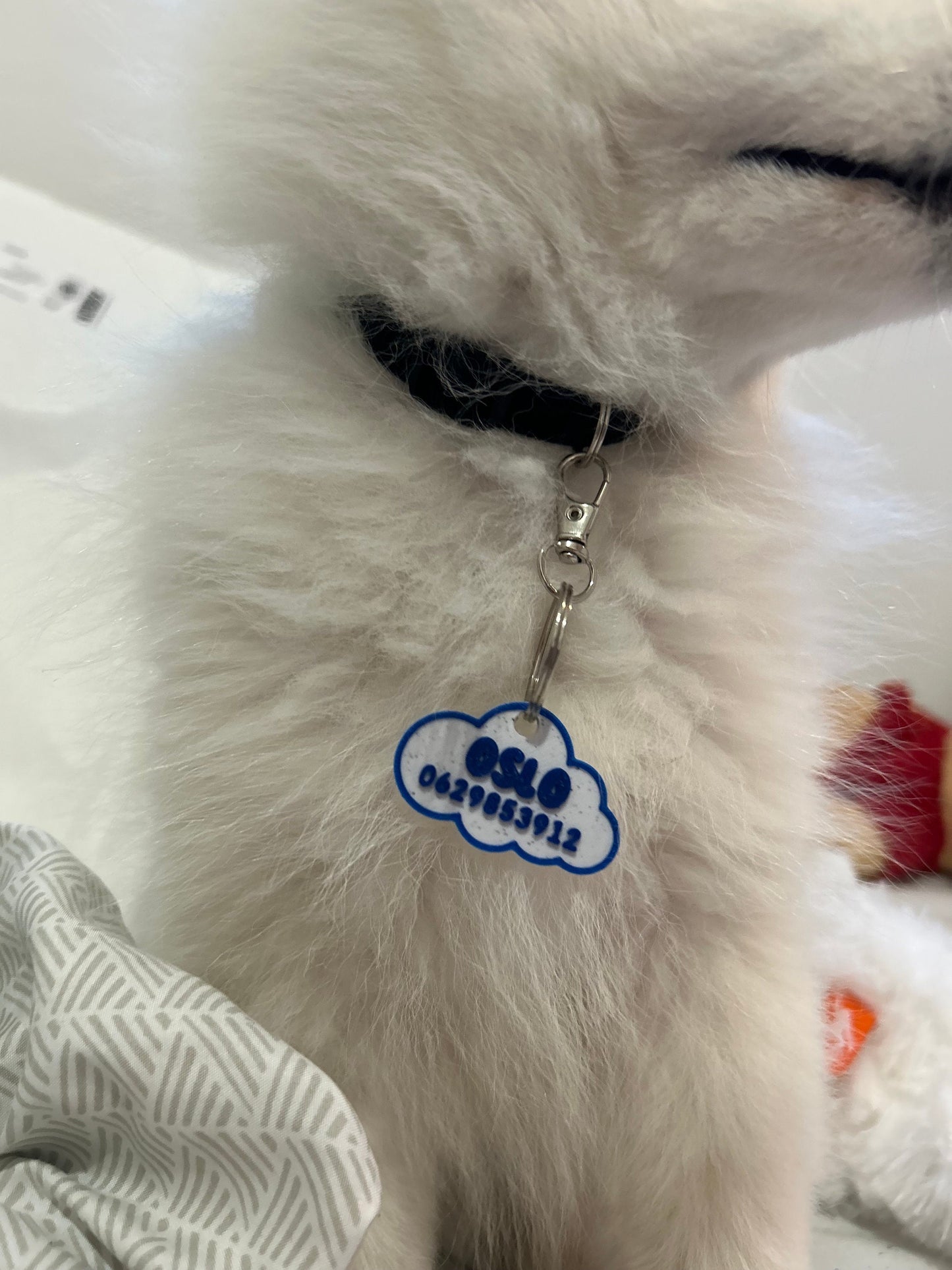 Médaille chien sans bruit nuage confortable pour chien, animaux, ou chats à personnaliser prénom  médaille d'identité avec choix de couleurs