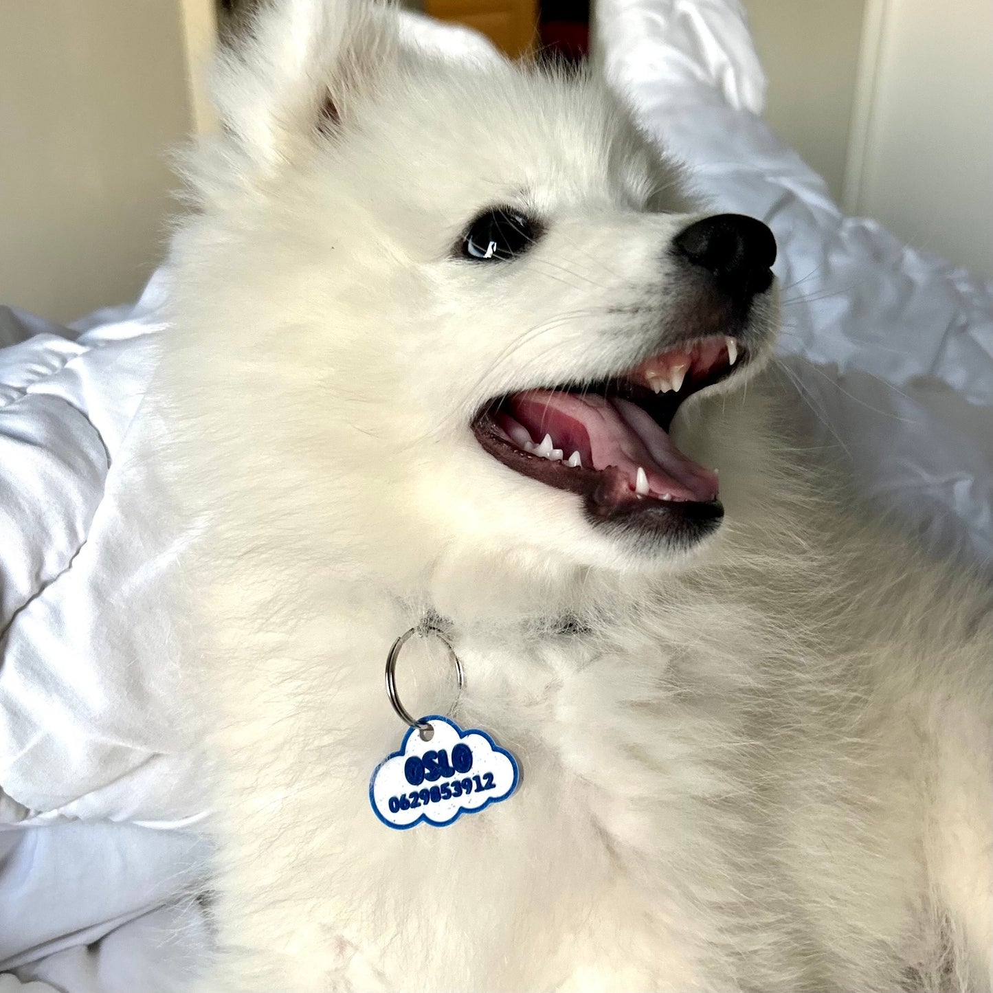 Médaille chien sans bruit nuage confortable pour chien, animaux, ou chats à personnaliser prénom  médaille d'identité avec choix de couleurs