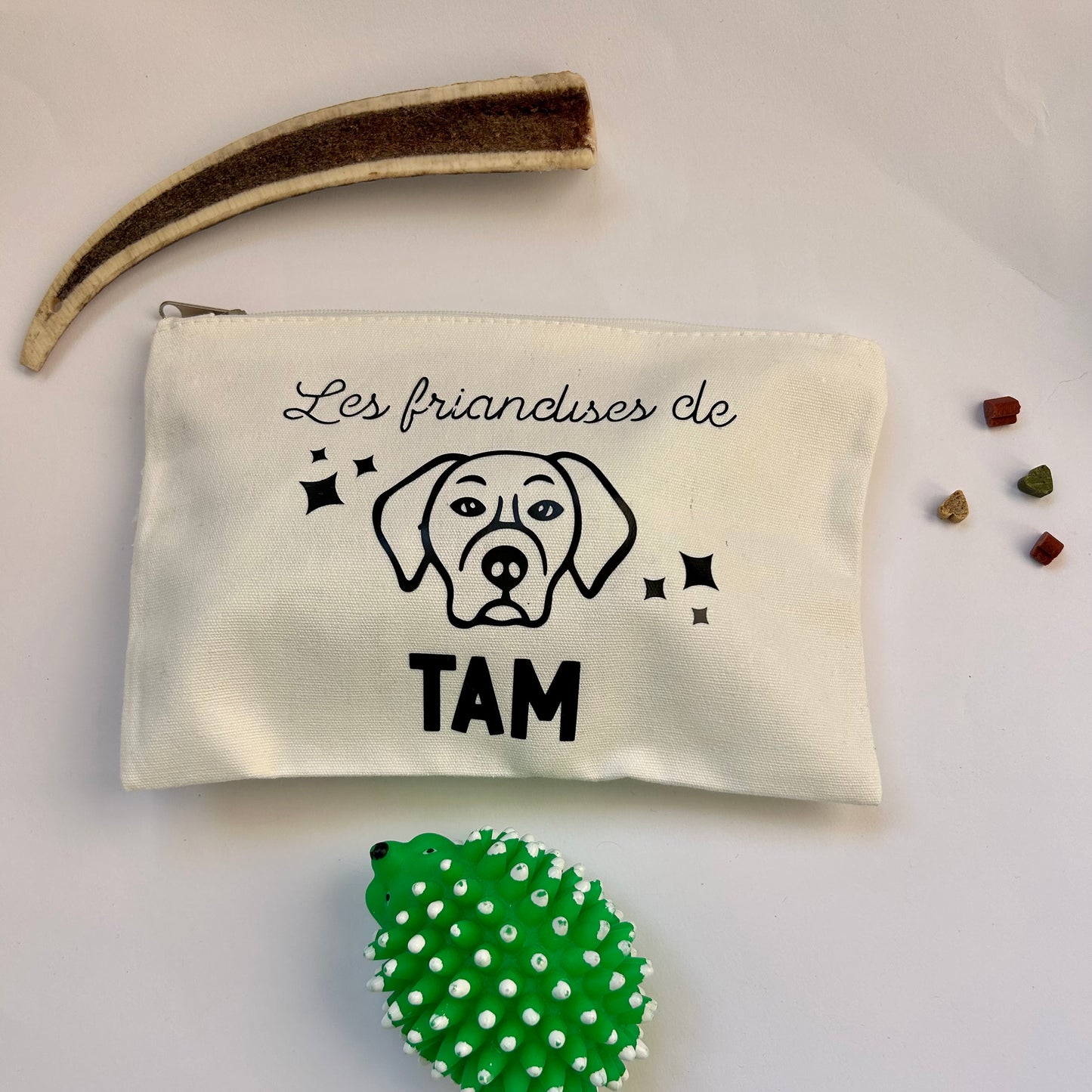 Pochette à friandises pour chien trousse personnalisée pour ranger les gâteaux et affaires de son chien